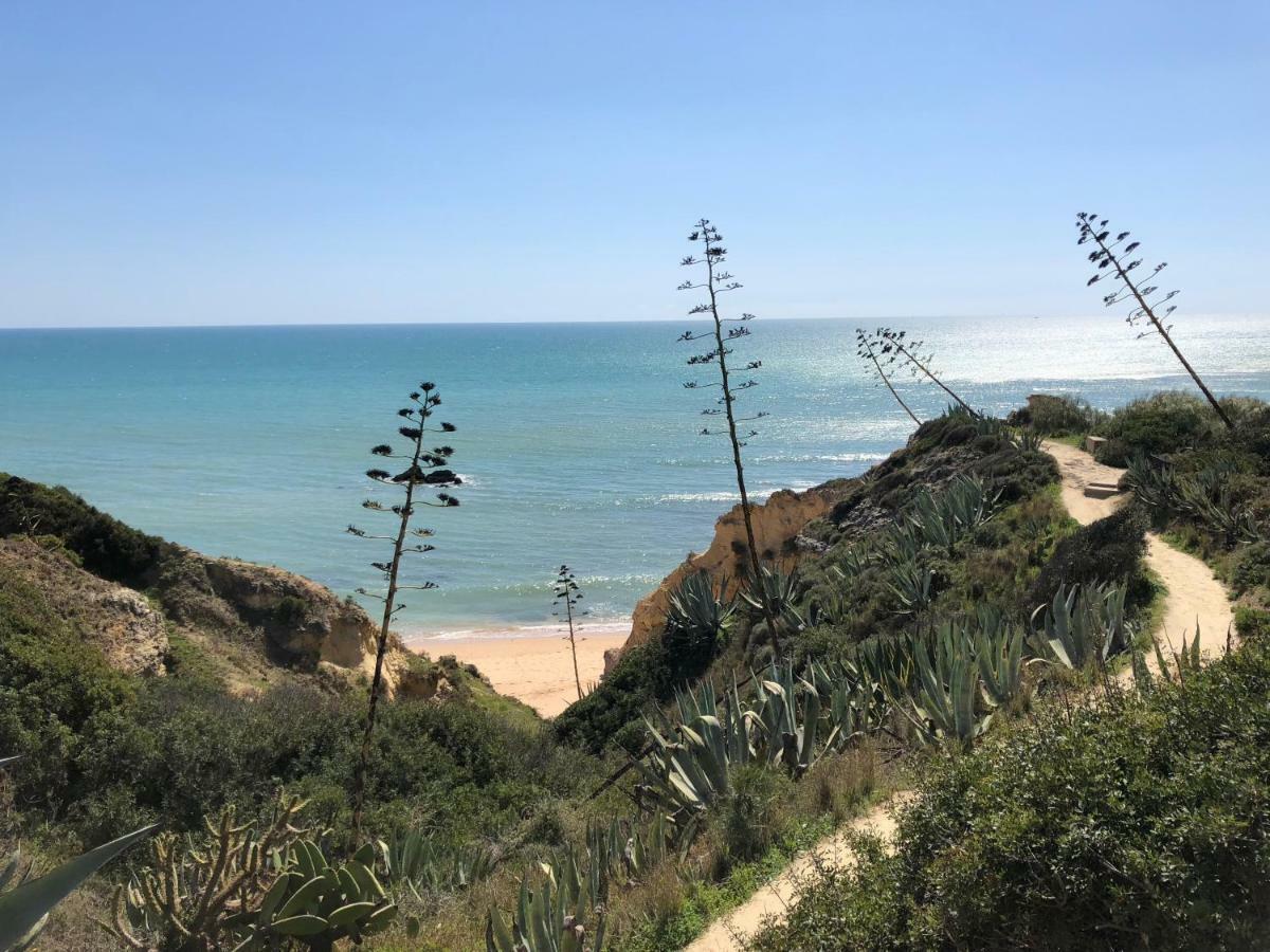 T3 Holiday Cottage Near The Beach | C225 Porches  Buitenkant foto
